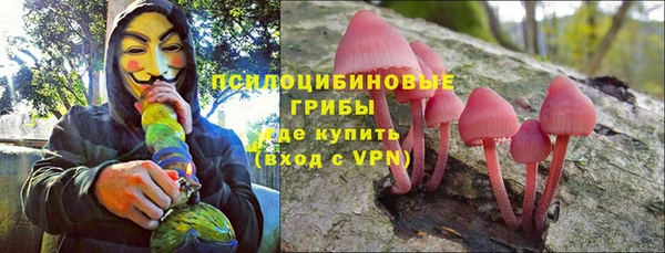 стафф Верея