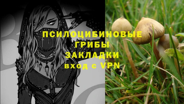 jwh Верхний Тагил