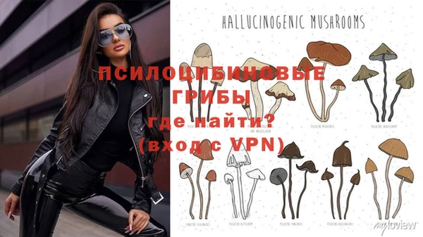 jwh Верхний Тагил
